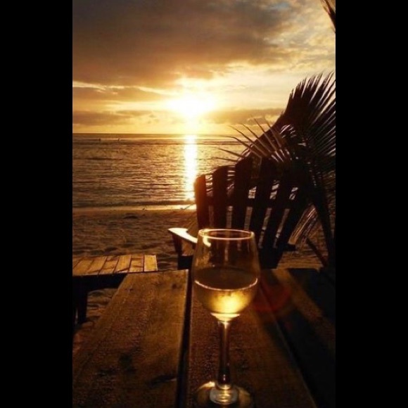 POSH AMBASSADOR - Picture 6 of 16